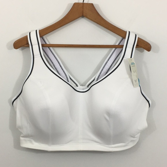 lane bryant high impact sports bra